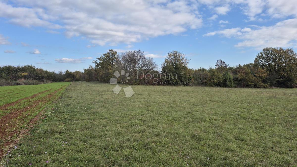 Kmetijsko zemljišče Pusti, Svetvinčenat, 8.182m2