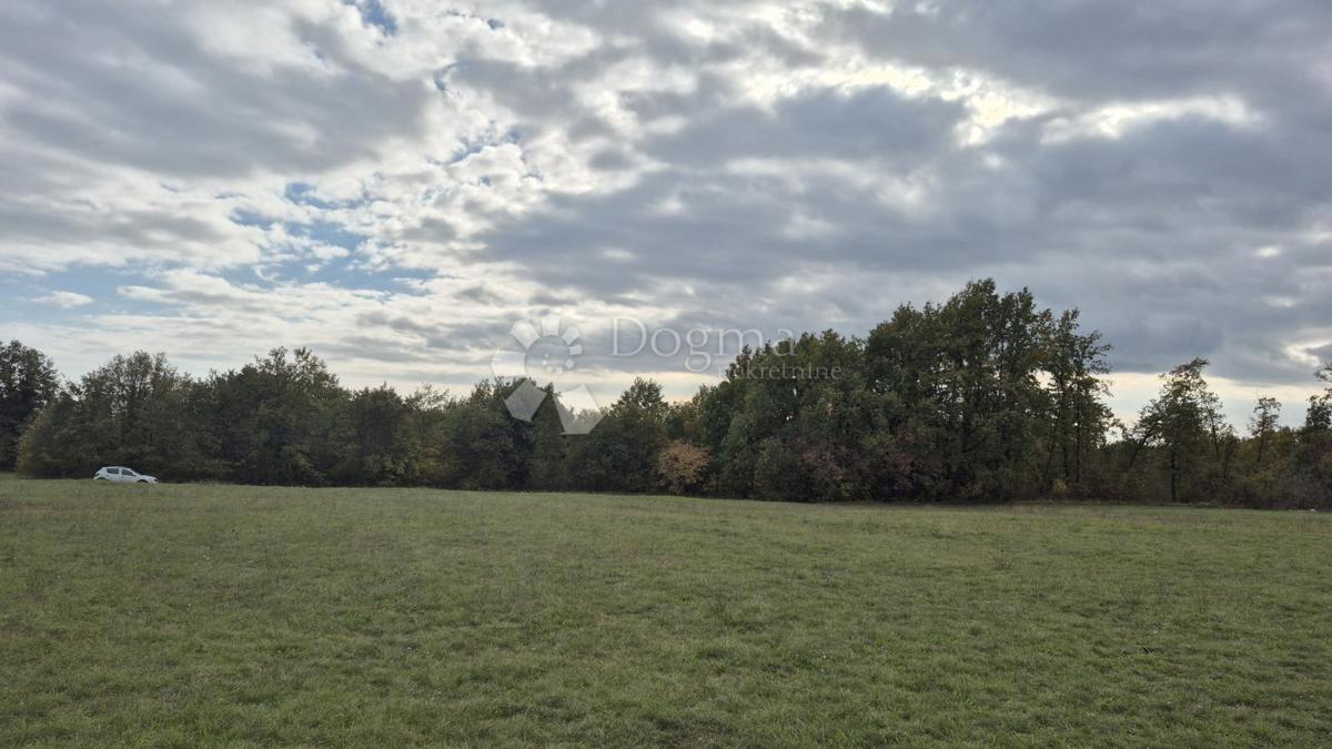 Kmetijsko zemljišče Pusti, Svetvinčenat, 8.182m2