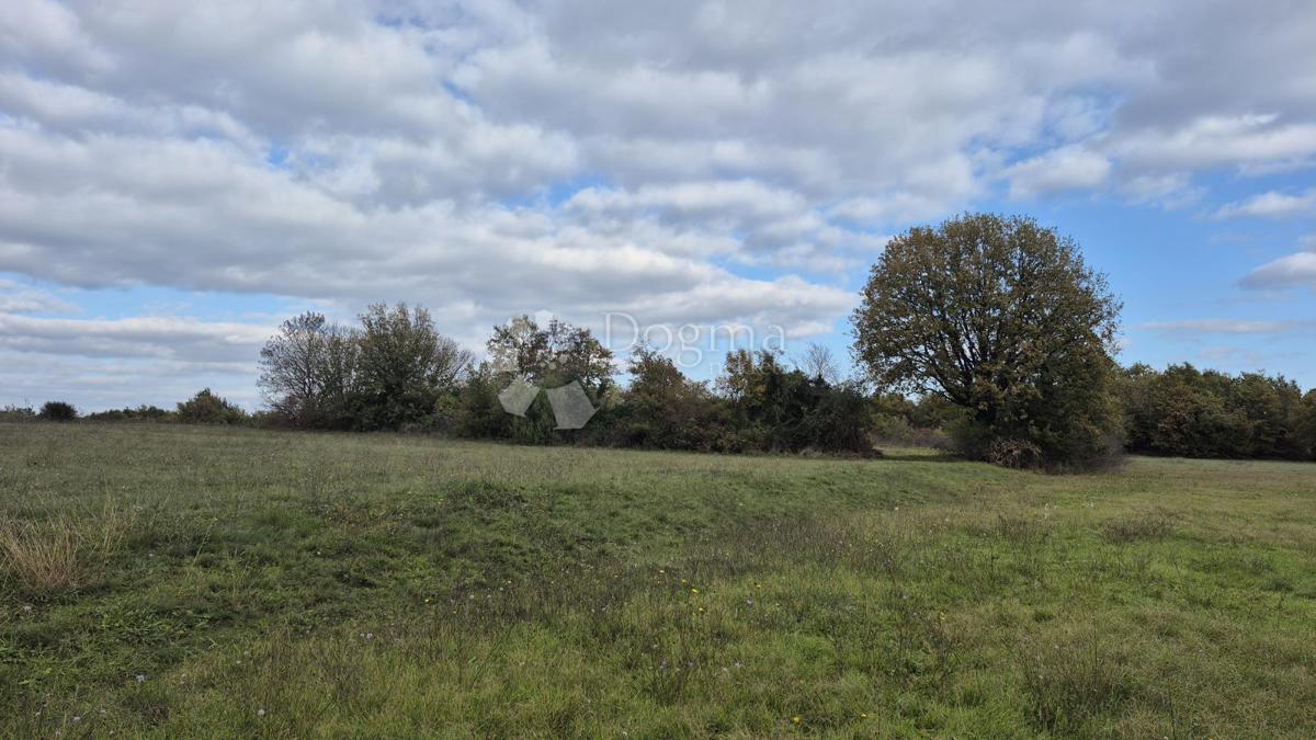 Kmetijsko zemljišče Pusti, Svetvinčenat, 8.182m2