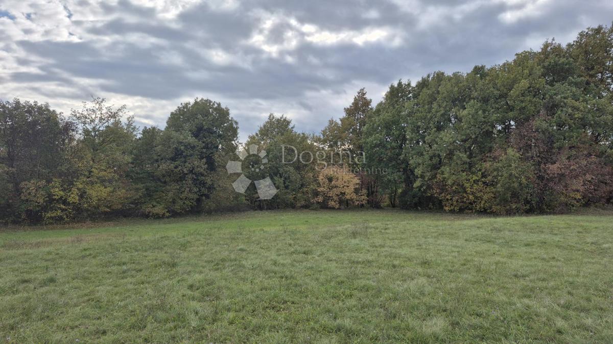 Kmetijsko zemljišče Pusti, Svetvinčenat, 8.182m2