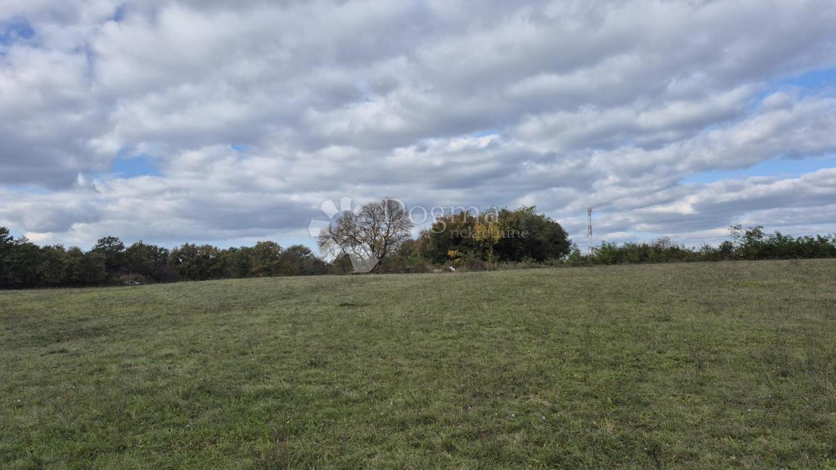 Kmetijsko zemljišče Pusti, Svetvinčenat, 8.182m2