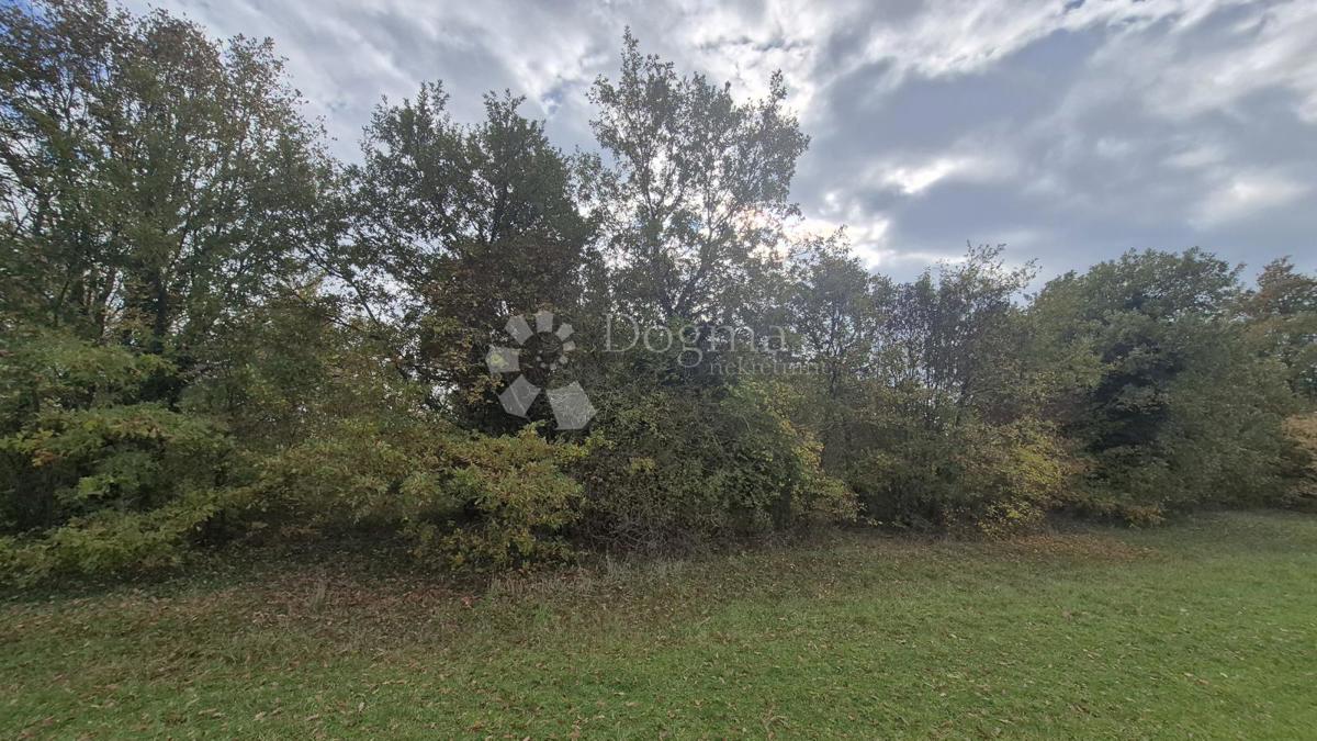 Kmetijsko zemljišče Pusti, Svetvinčenat, 8.182m2