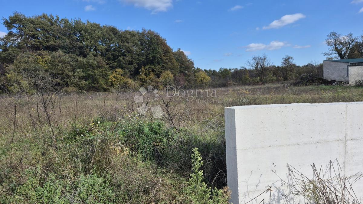 Stavbno zemljišče z gradbenim dovoljenjem za gradnjo družinske hiše z gospodarskim poslopjem in bazenom