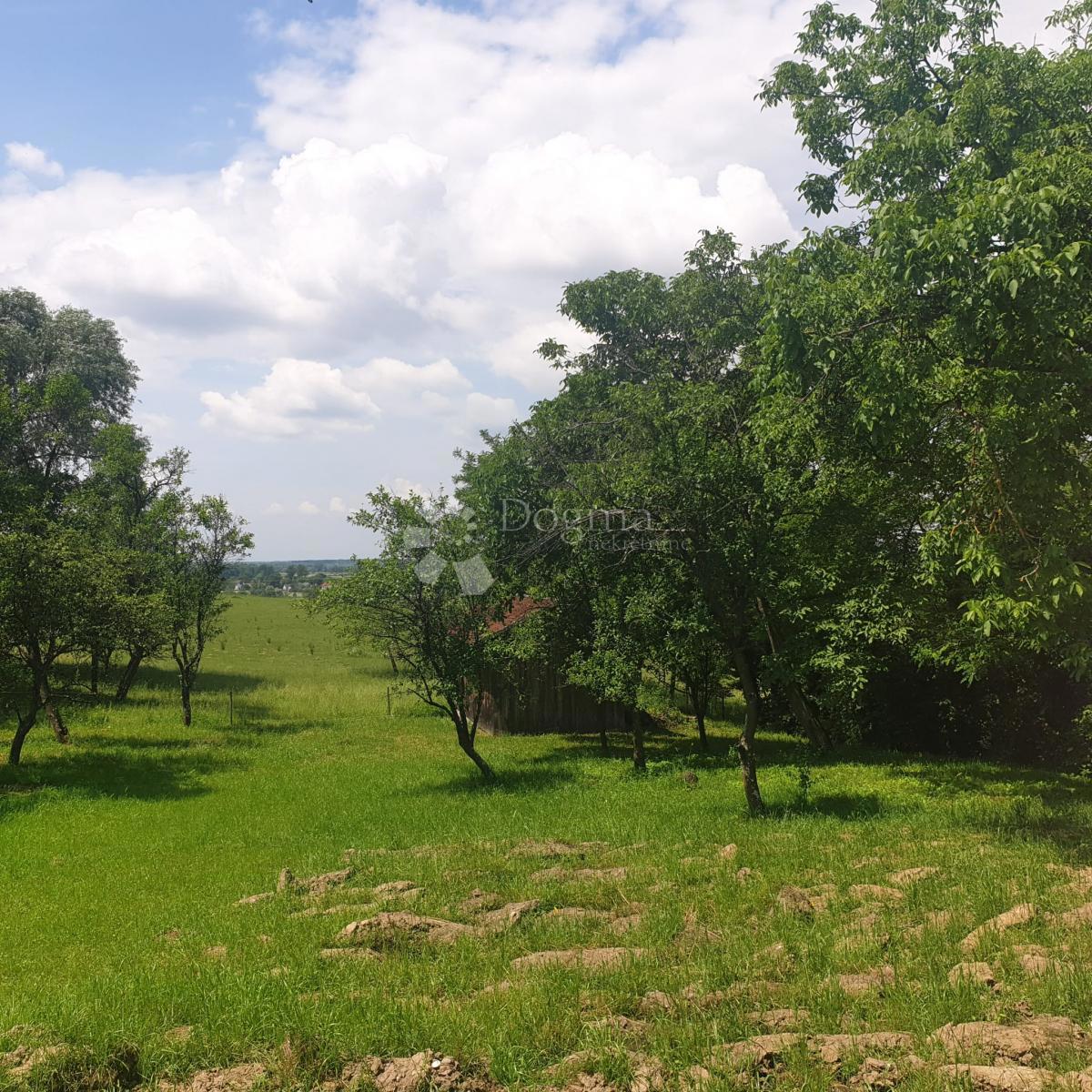 Hiša Stružec, Popovača, 4.302m2