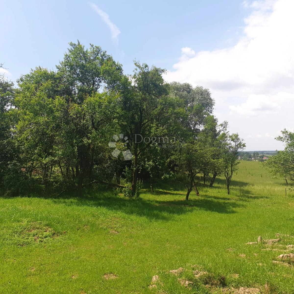 Hiša Stružec, Popovača, 4.302m2