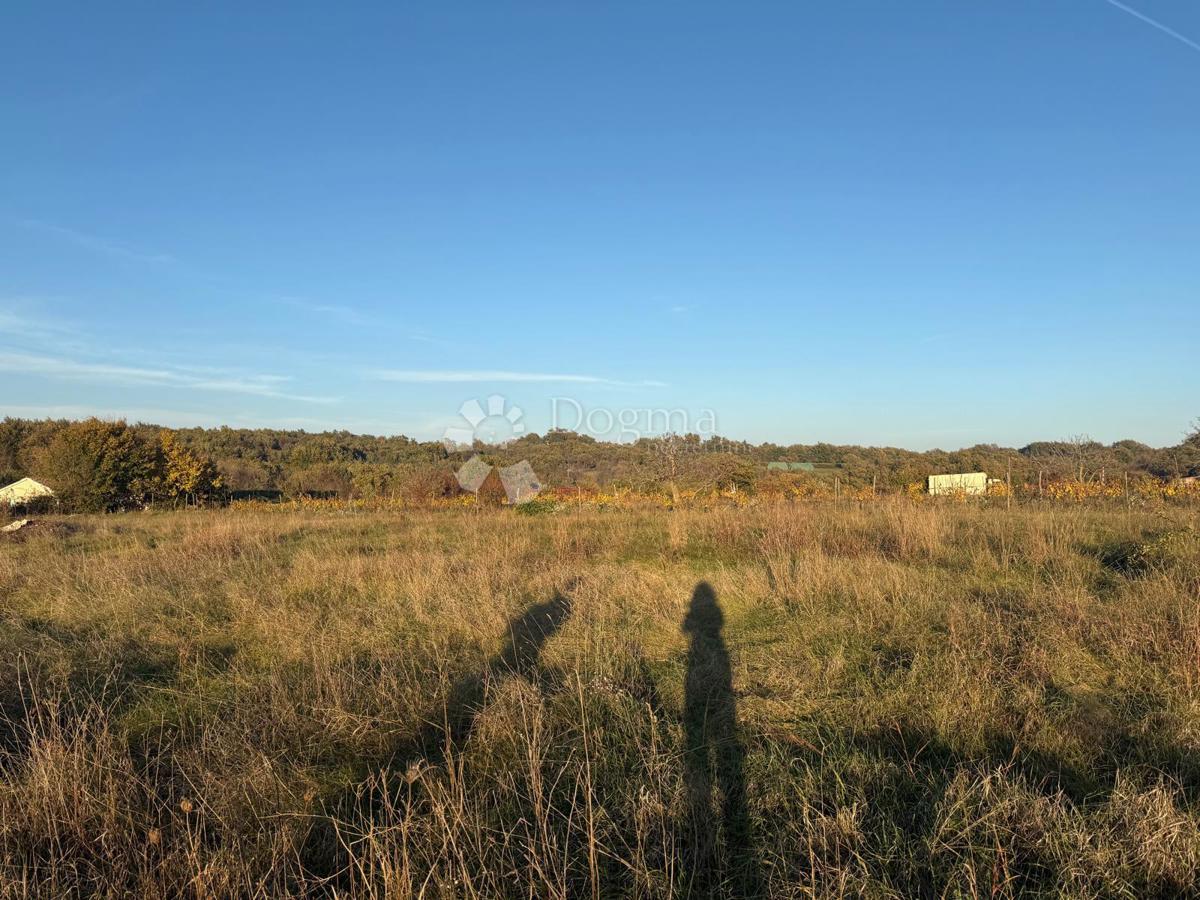 Zazidljivo zemljišče Svetvinčenat, 858m2