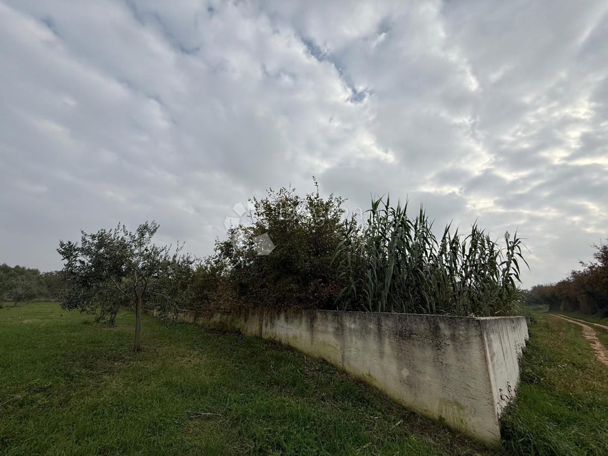 Gradbena parcela na mirni lokaciji