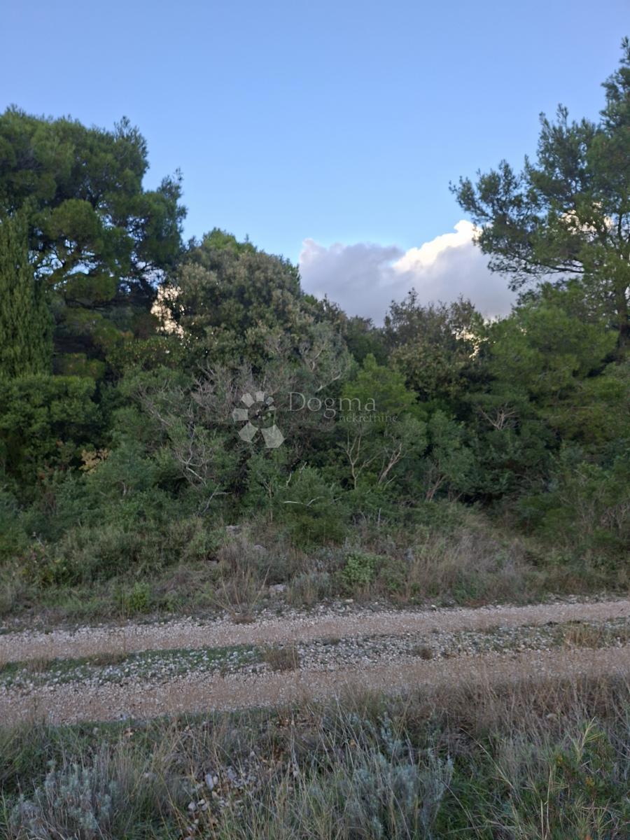 Kmetijsko zemljišče Močići, Konavle, 5.042m2