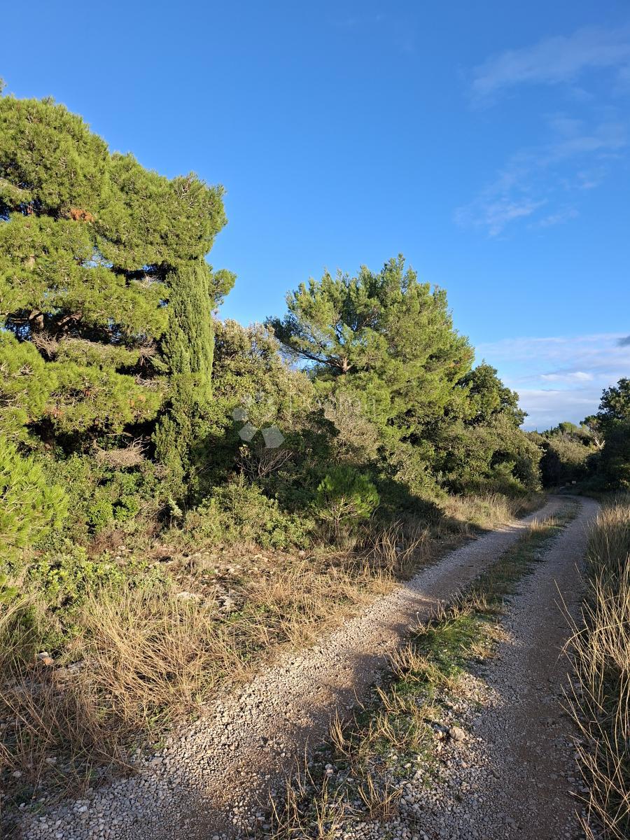 Kmetijsko zemljišče Močići, Konavle, 5.042m2