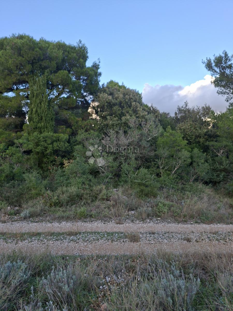 Kmetijsko zemljišče Močići, Konavle, 5.042m2