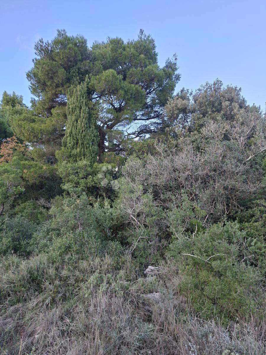 Kmetijsko zemljišče Močići, Konavle, 5.042m2