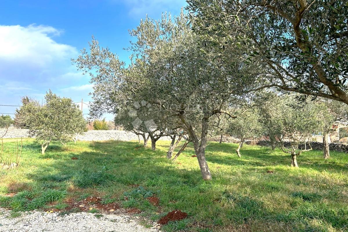 Zazidljivo zemljišče Vodnjan, 939m2