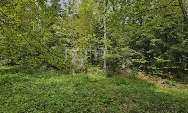 Zemljišče Bribir, Vinodolska Općina, 66.147,82m2