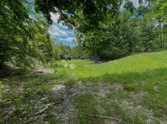 Zemljišče Bribir, Vinodolska Općina, 66.147,82m2