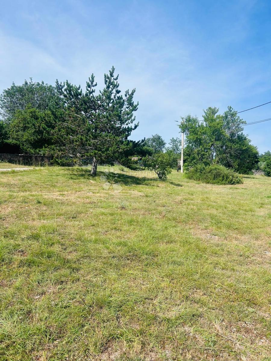 Hiša Kršete, Buje, 172m2