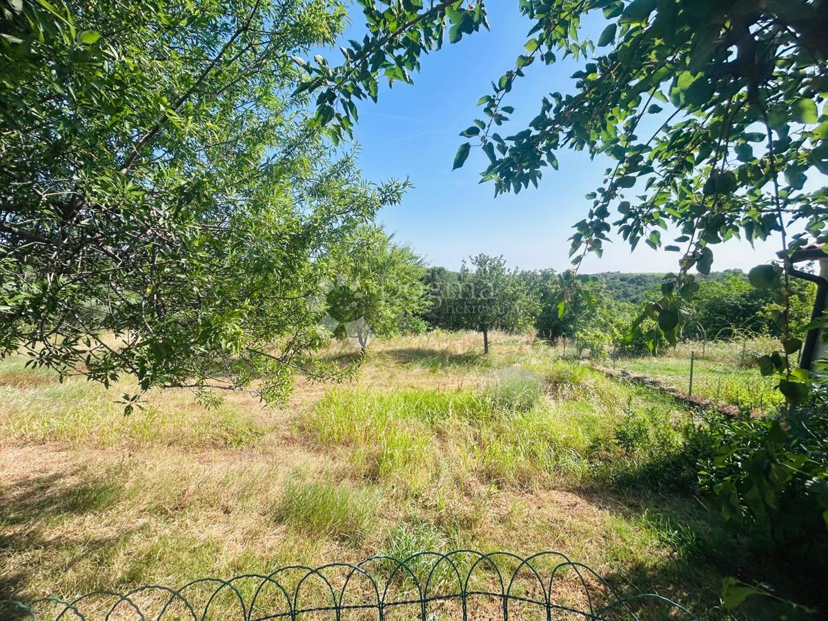 Hiša Kršete, Buje, 172m2