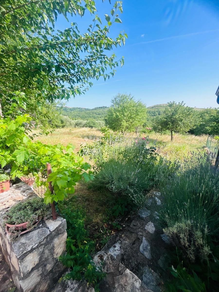 Hiša Kršete, Buje, 172m2