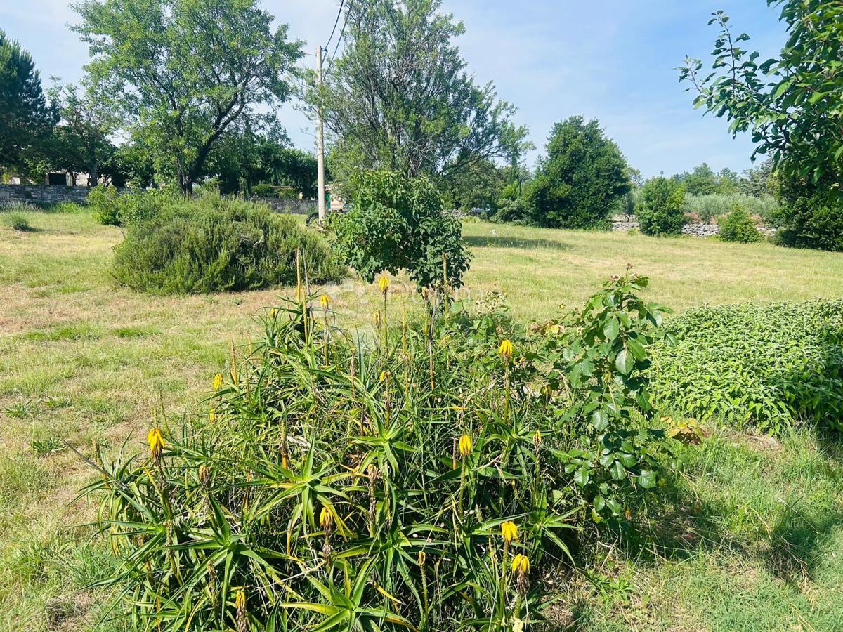 Hiša Kršete, Buje, 172m2