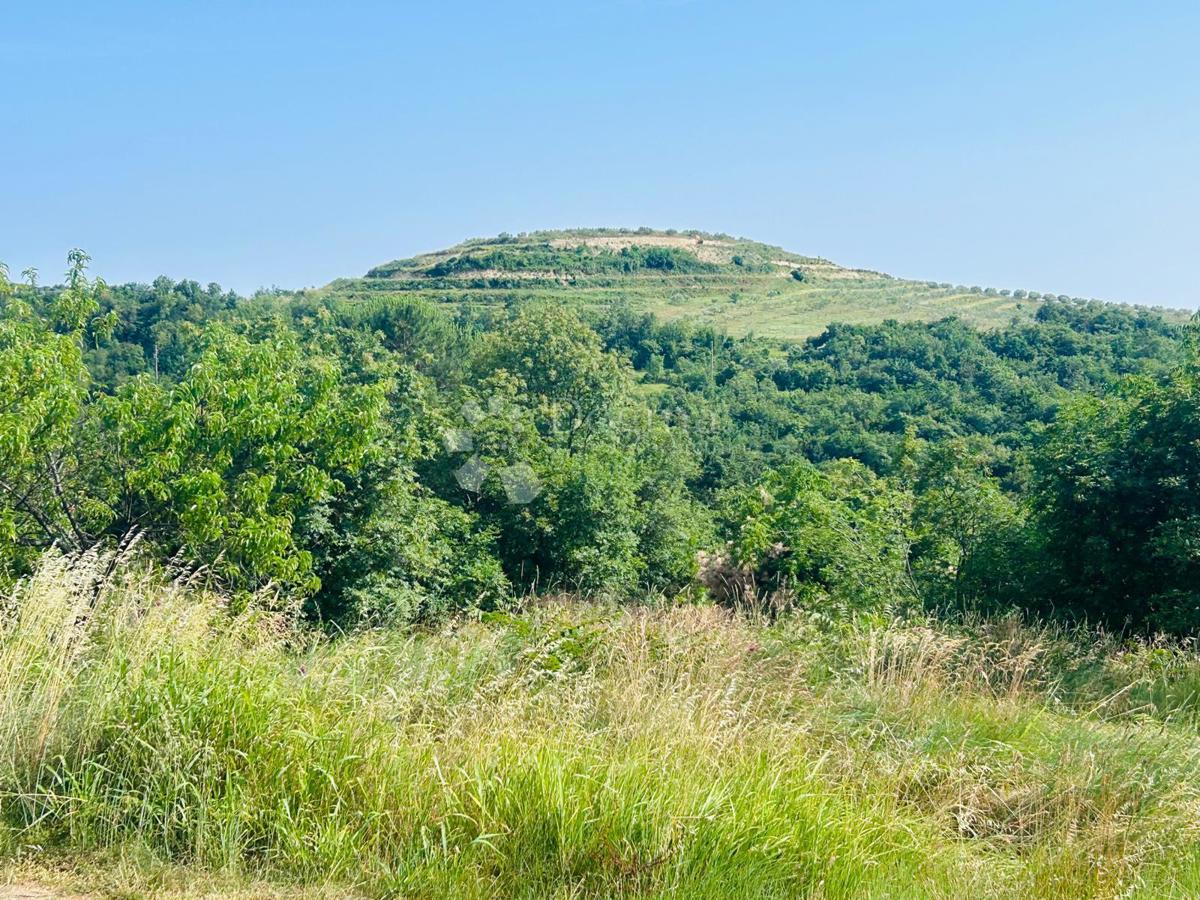 Hiša Kršete, Buje, 172m2