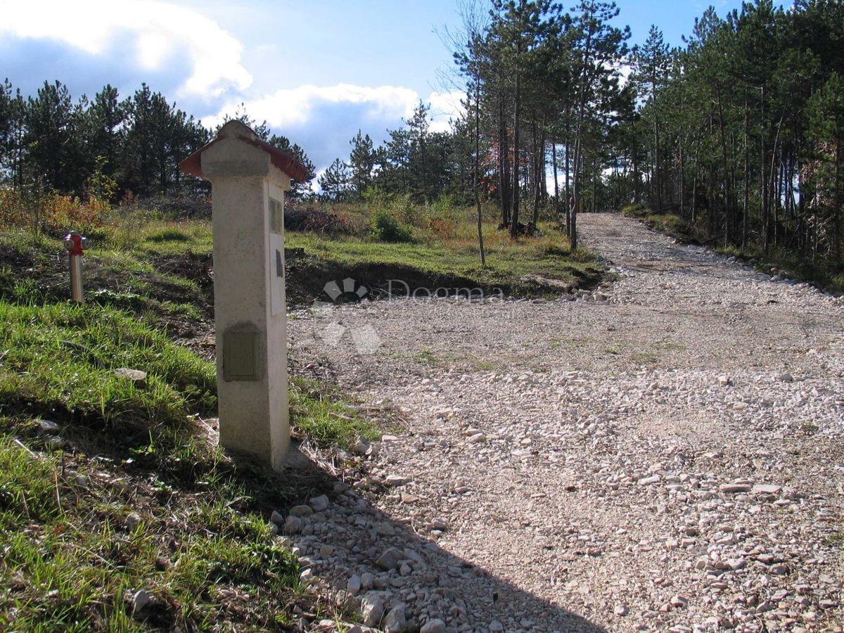 Grajevinsko Zemljišče (2000 m²) z Obsežnim Gozdom (36.789 m²)