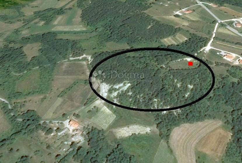 Grajevinsko Zemljišče (2000 m²) z Obsežnim Gozdom (36.789 m²)