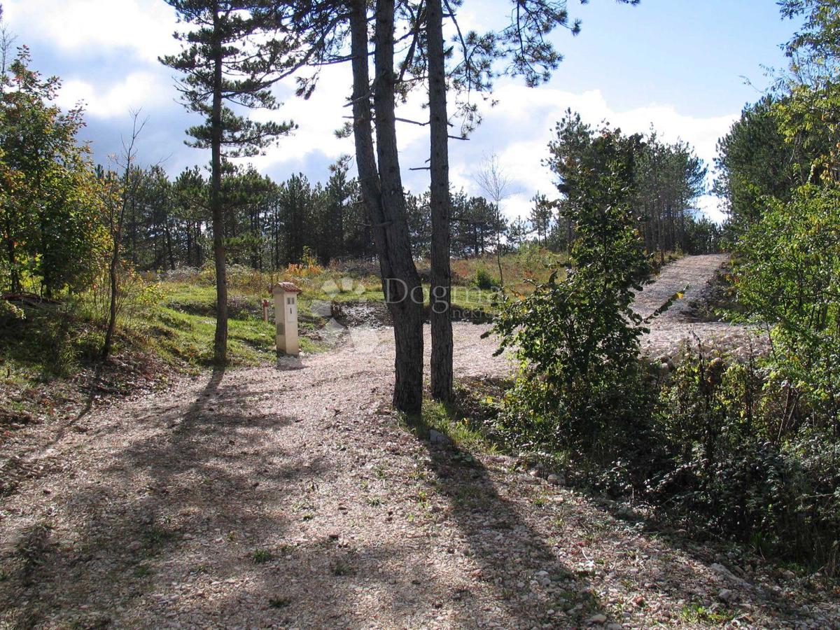 Grajevinsko Zemljišče (2000 m²) z Obsežnim Gozdom (36.789 m²)