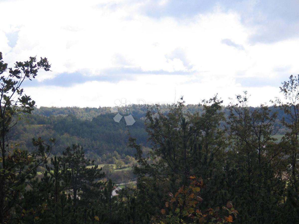 Grajevinsko Zemljišče (2000 m²) z Obsežnim Gozdom (36.789 m²)