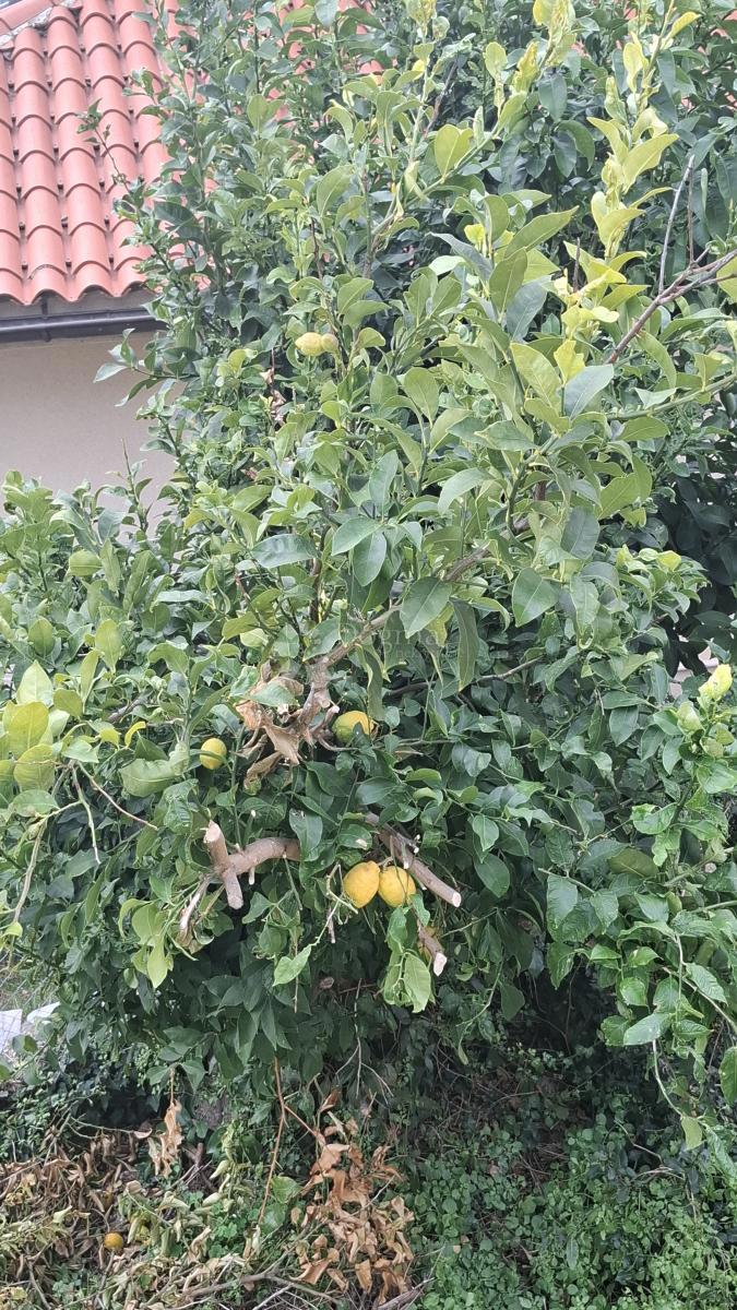 Stanovanje Mali Lošinj, 65,68m2