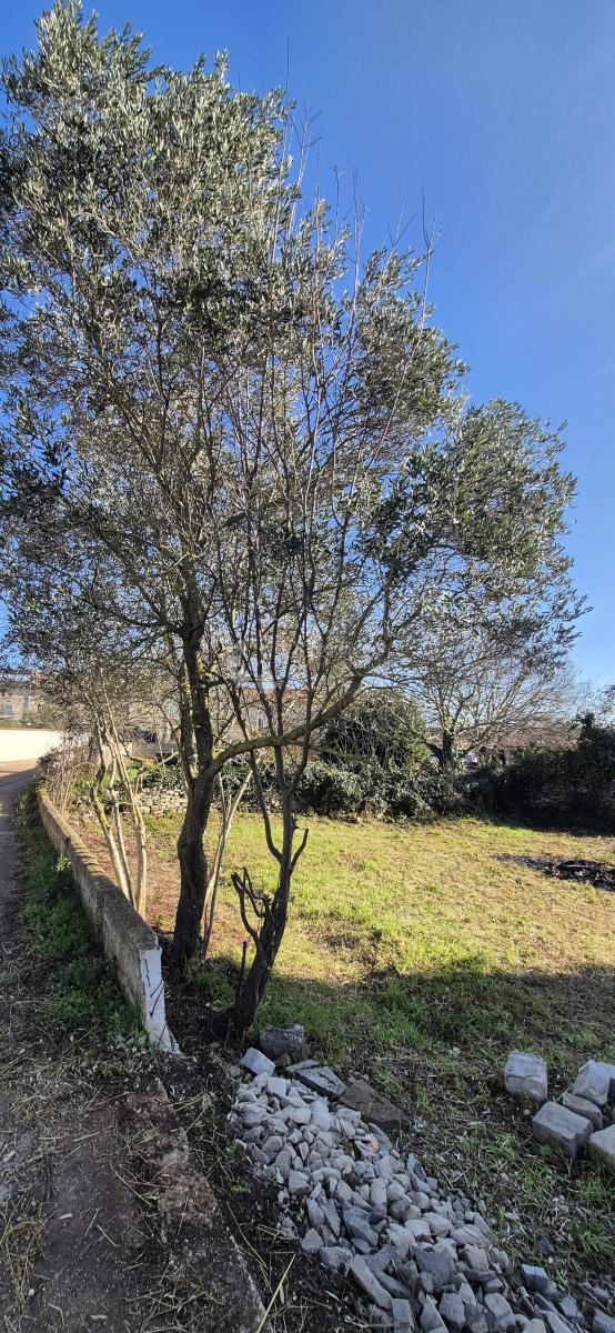 Hiša Juršići, Svetvinčenat, 166m2