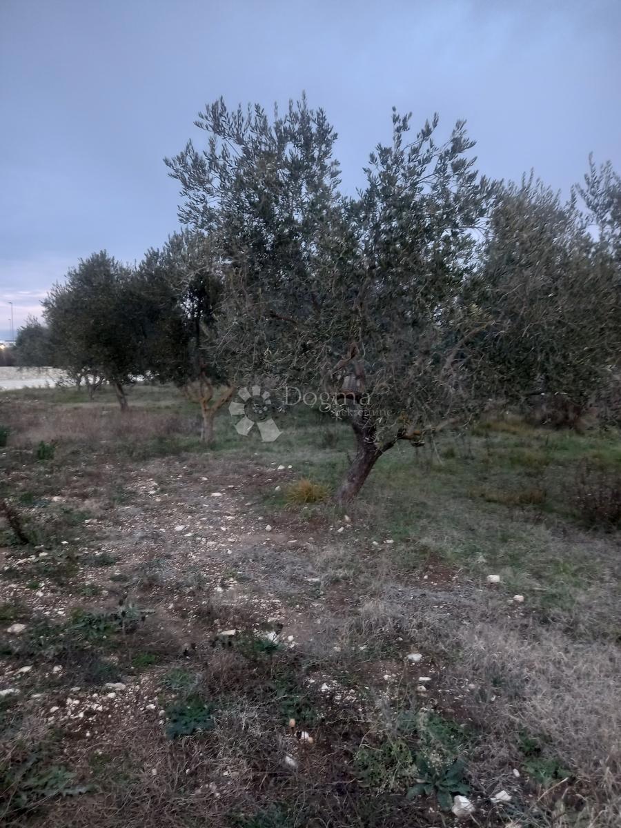 Zazidljivo zemljišče Sinjoretovo, Zadar, 8.244m2