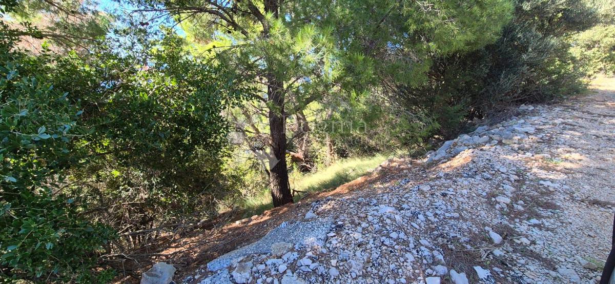 Kmetijsko zemljišče Potomje, Orebić, 4.500m2