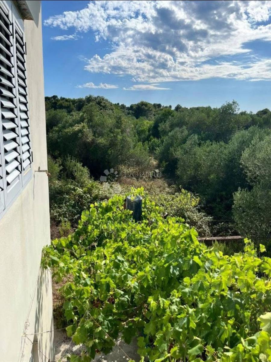 Hiša Ugljan, Preko, 144m2