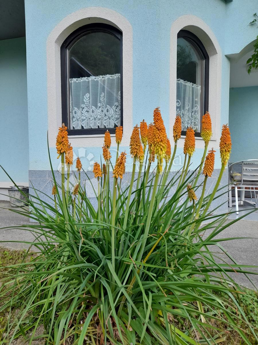 Hiša Jazbina Cvetlinska, Bednja, 204m2