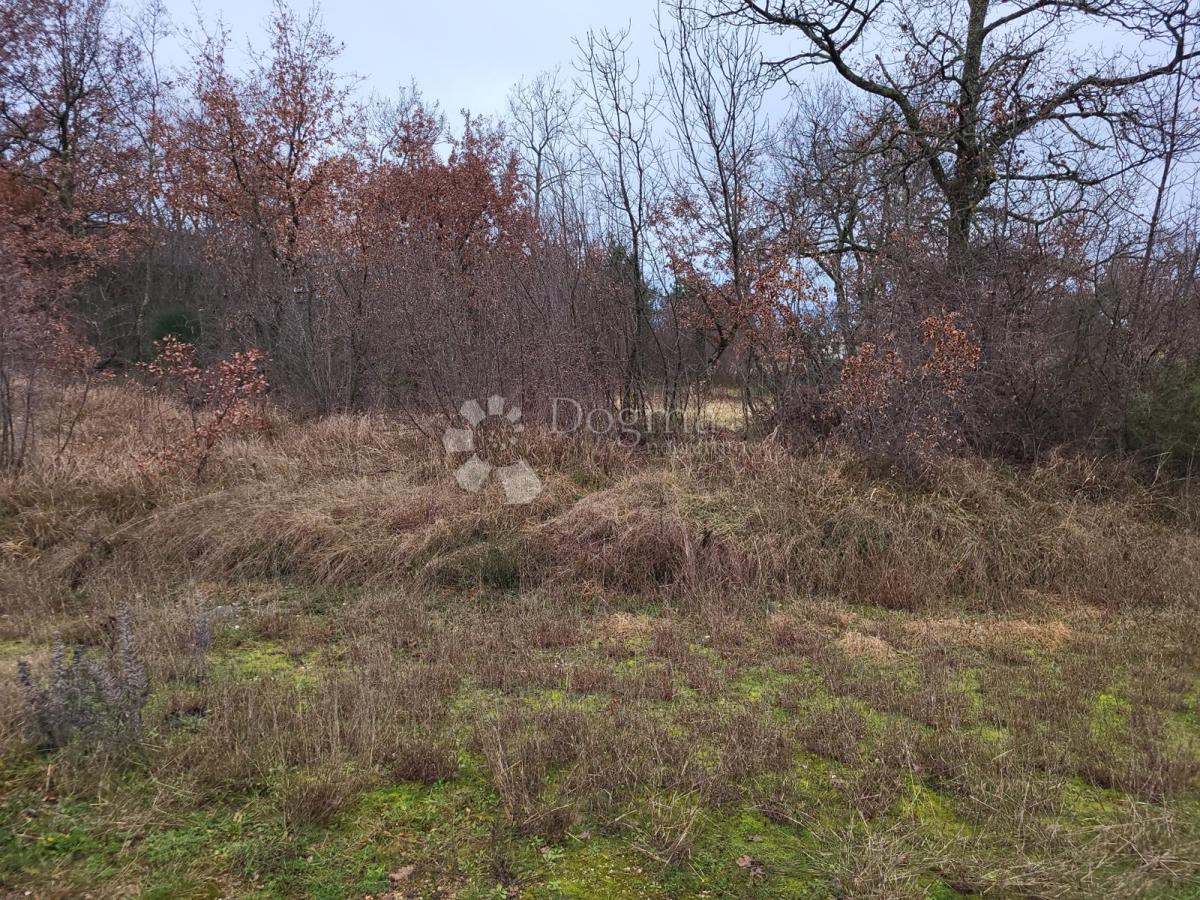 Zazidljivo zemljišče Perci, Poreč, 999m2