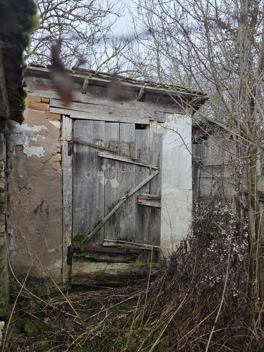 Hiša Gajić, Draž, 142m2