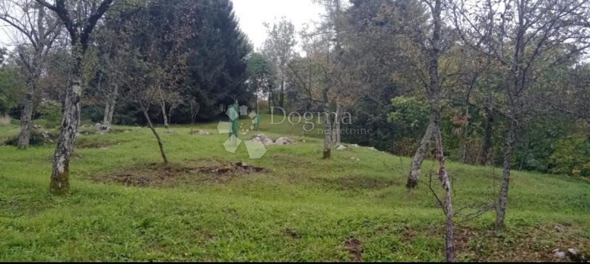 Kmetijsko zemljišče Osojnik, Vrbovsko, 40.606m2