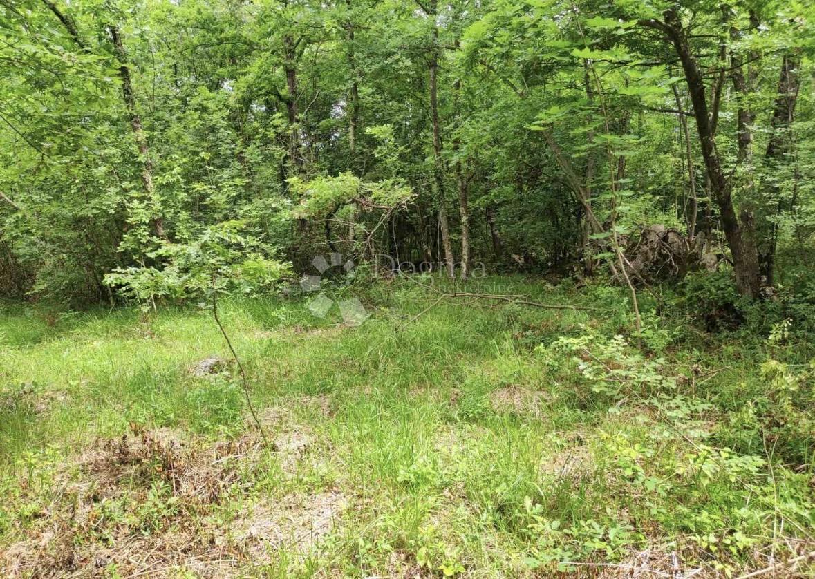 Zazidljivo zemljišče Roč, Buzet, 1.320m2