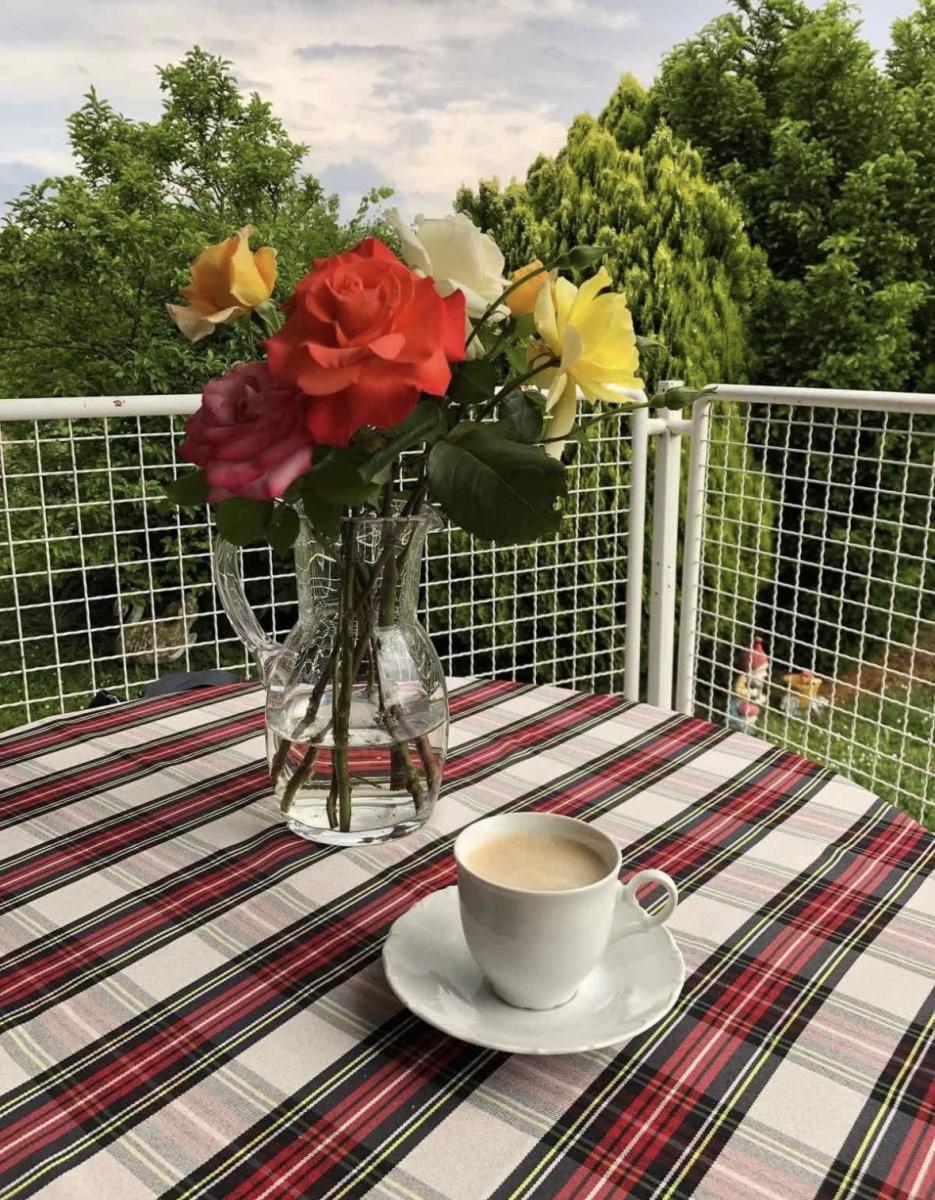 Hiša Dalj, Erdut, 264m2