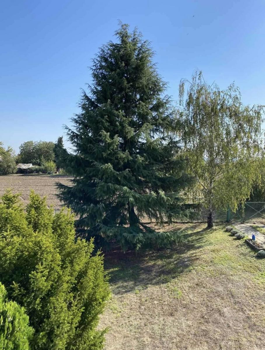 Hiša Dalj, Erdut, 264m2