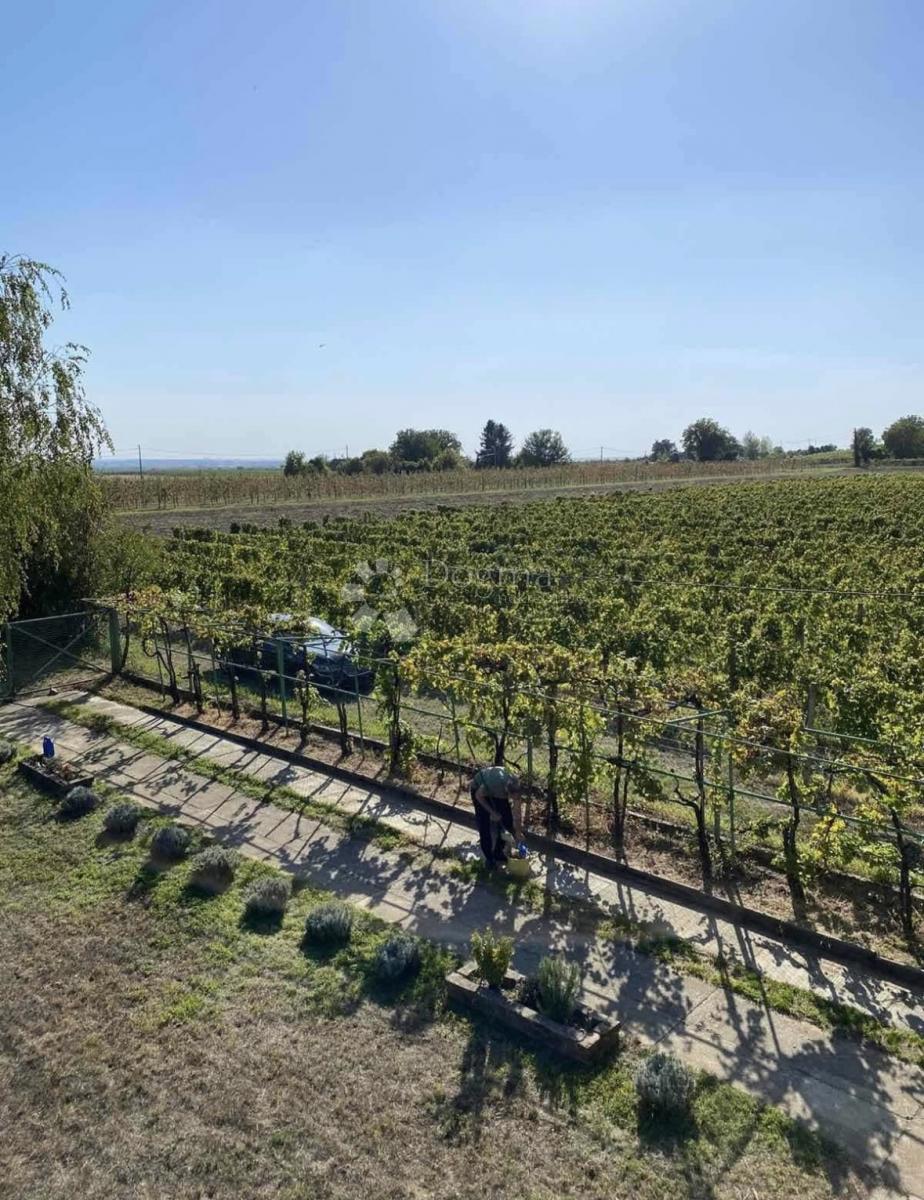 Hiša Dalj, Erdut, 264m2