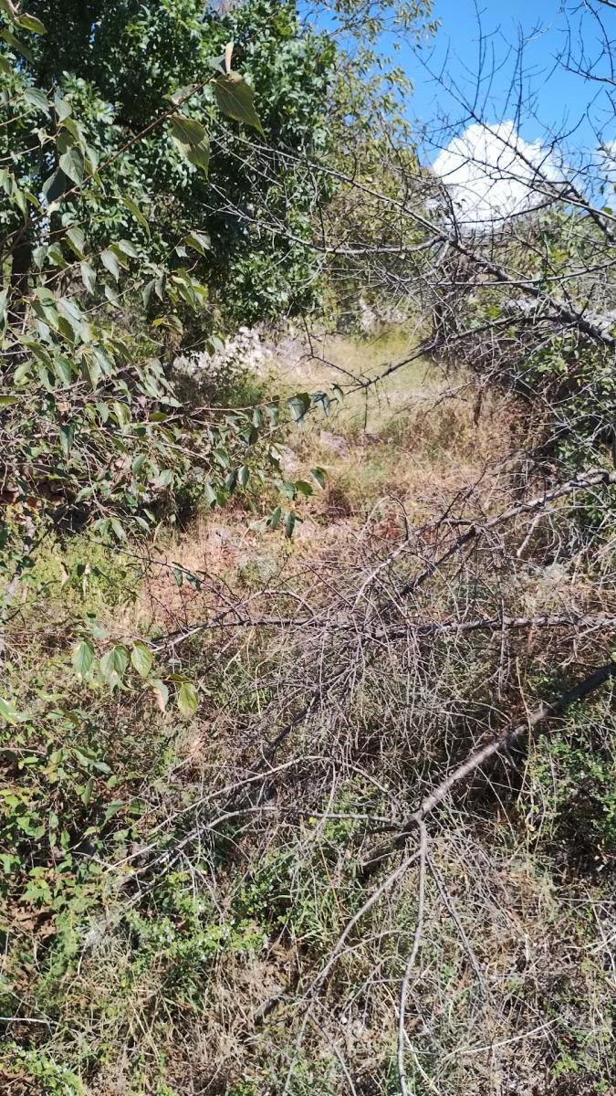 Zazidljivo zemljišče Seline, Starigrad, 918m2