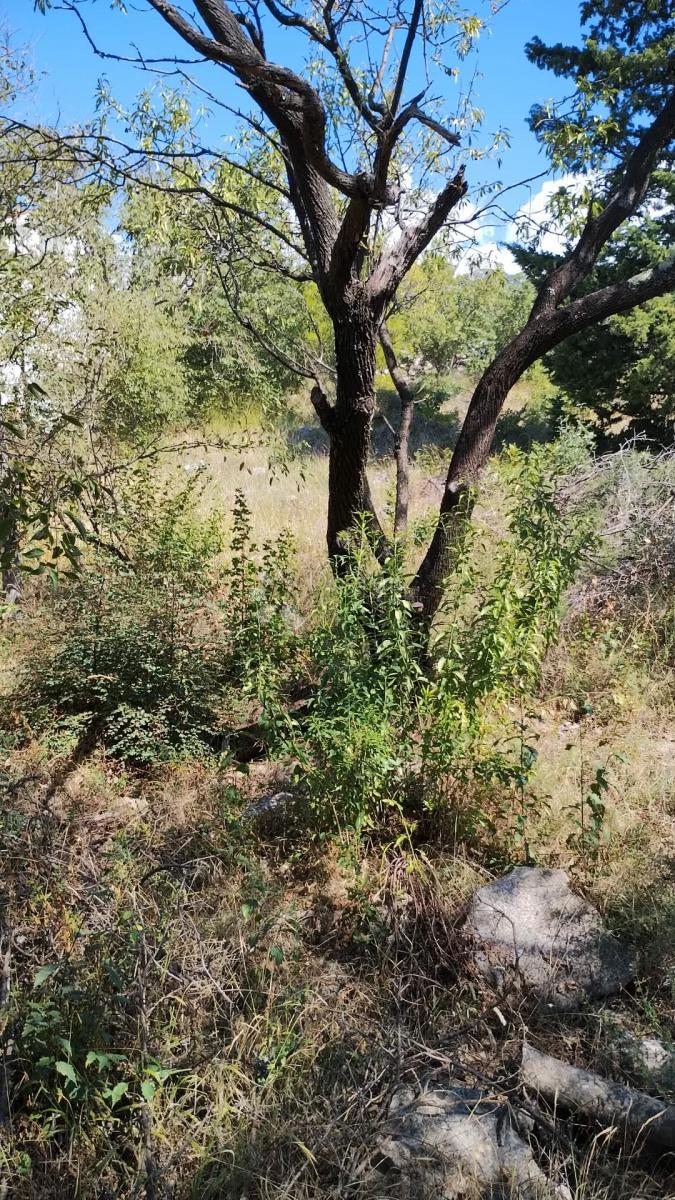 Zazidljivo zemljišče Seline, Starigrad, 918m2