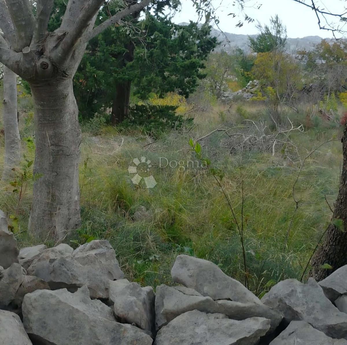 Zazidljivo zemljišče Seline, Starigrad, 918m2