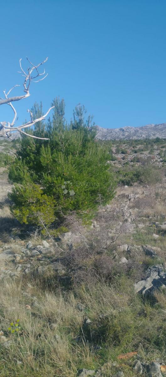 Zazidljivo zemljišče Seline, Starigrad, 918m2