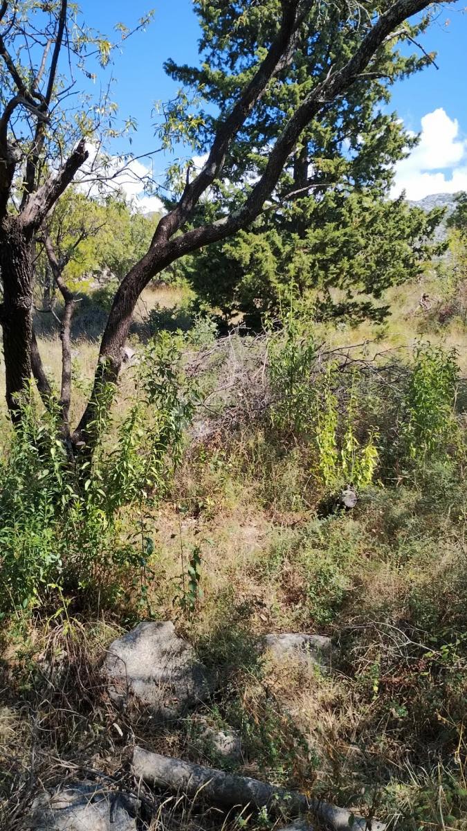 Zazidljivo zemljišče Seline, Starigrad, 918m2