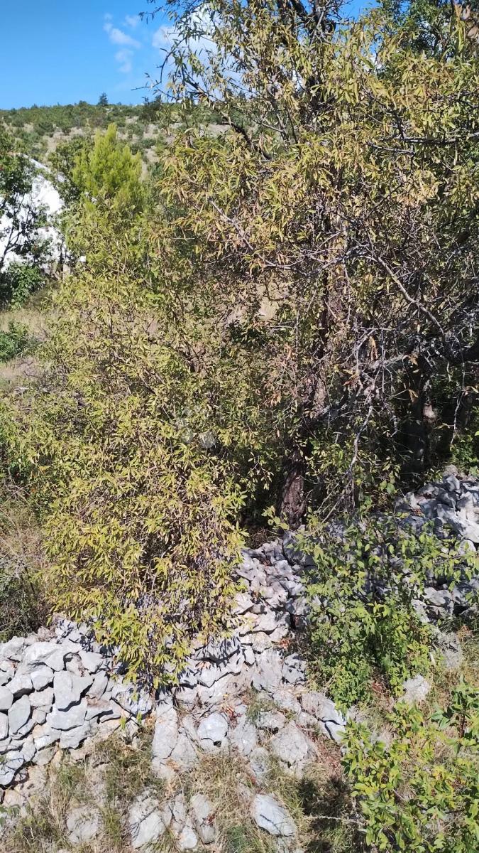 Zazidljivo zemljišče Seline, Starigrad, 918m2