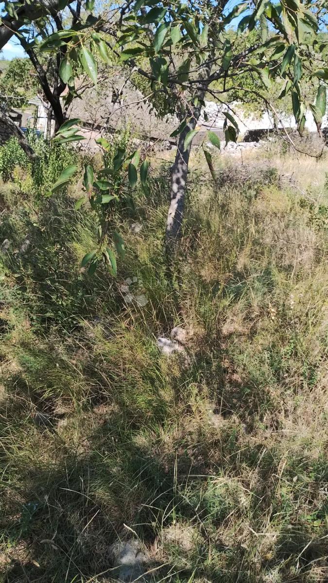 Zazidljivo zemljišče Seline, Starigrad, 918m2