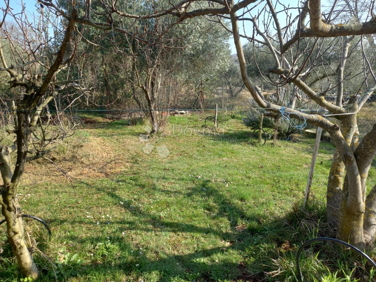 Hiša Zambratija, Umag, 60m2