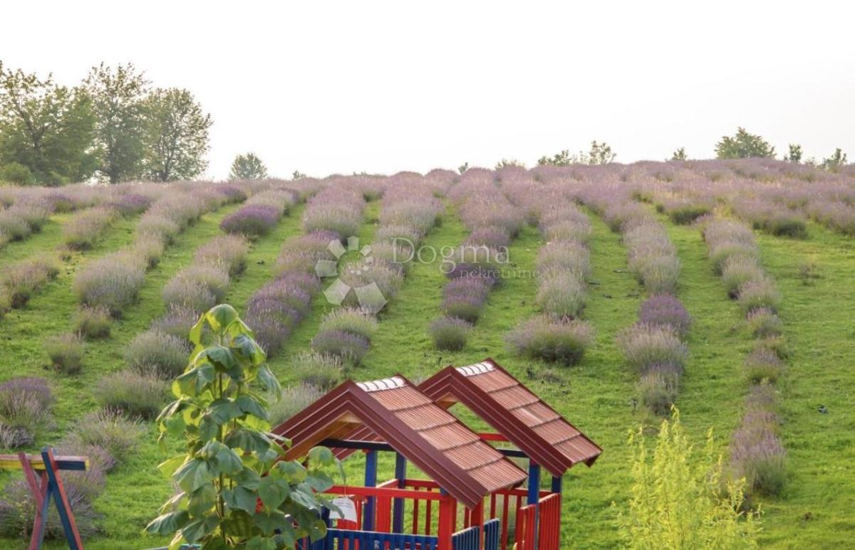 Hiša Lipovac, Rakovica, 350m2