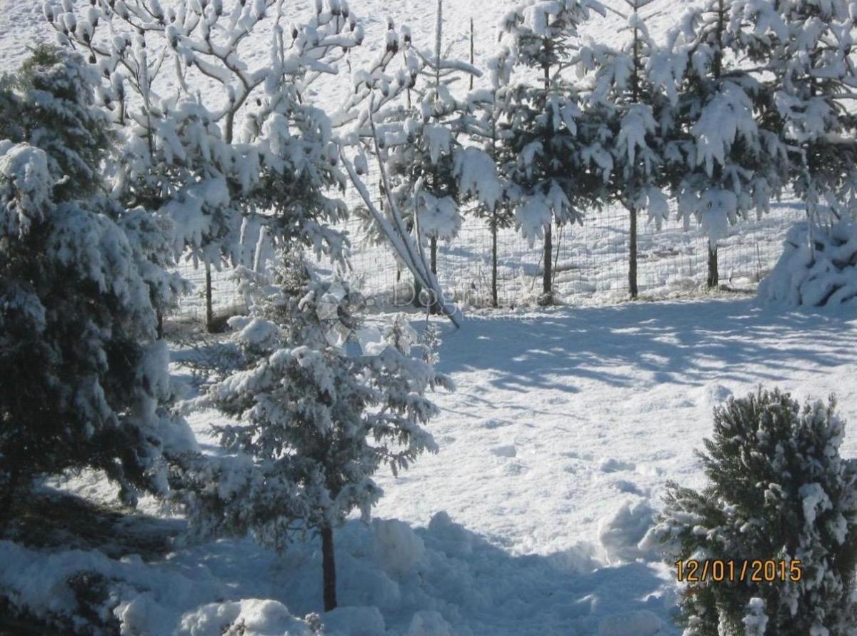 Hiša Lipovac, Rakovica, 350m2